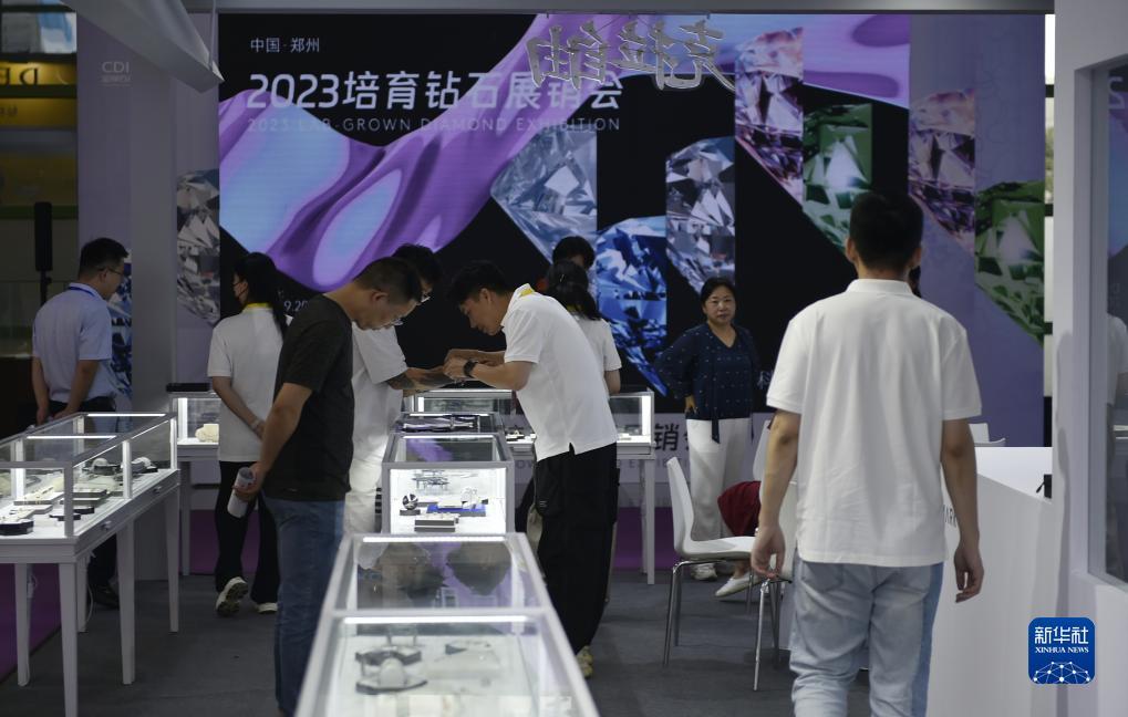 免费白菜彩金网